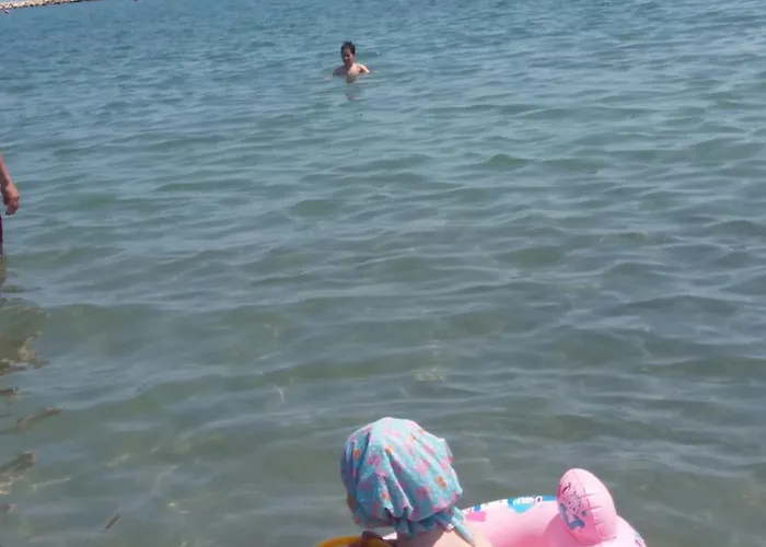 מלון Pescarus 2*